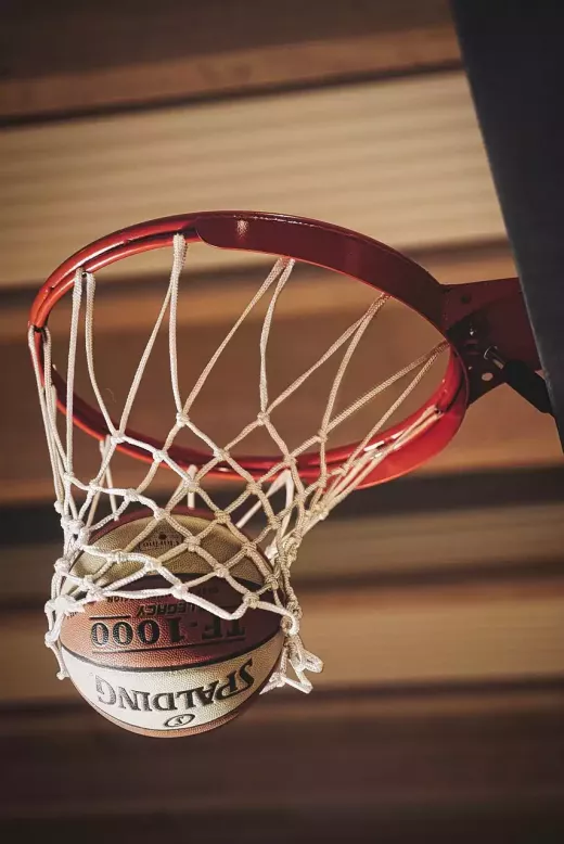 Virtual Basketball Leagues: From Players to Tournaments